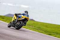 PJ-Motorsport-Photography-2018;anglesey-no-limits-trackday;anglesey-photographs;anglesey-trackday-photographs;enduro-digital-images;event-digital-images;eventdigitalimages;no-limits-trackdays;peter-wileman-photography;racing-digital-images;trac-mon;trackday-digital-images;trackday-photos;ty-croes
