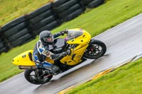 PJ-Motorsport-Photography-2018;anglesey-no-limits-trackday;anglesey-photographs;anglesey-trackday-photographs;enduro-digital-images;event-digital-images;eventdigitalimages;no-limits-trackdays;peter-wileman-photography;racing-digital-images;trac-mon;trackday-digital-images;trackday-photos;ty-croes