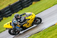 PJ-Motorsport-Photography-2018;anglesey-no-limits-trackday;anglesey-photographs;anglesey-trackday-photographs;enduro-digital-images;event-digital-images;eventdigitalimages;no-limits-trackdays;peter-wileman-photography;racing-digital-images;trac-mon;trackday-digital-images;trackday-photos;ty-croes