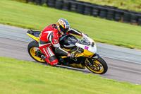 PJ-Motorsport-Photography-2018;anglesey-no-limits-trackday;anglesey-photographs;anglesey-trackday-photographs;enduro-digital-images;event-digital-images;eventdigitalimages;no-limits-trackdays;peter-wileman-photography;racing-digital-images;trac-mon;trackday-digital-images;trackday-photos;ty-croes