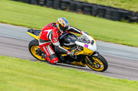 PJ-Motorsport-Photography-2018;anglesey-no-limits-trackday;anglesey-photographs;anglesey-trackday-photographs;enduro-digital-images;event-digital-images;eventdigitalimages;no-limits-trackdays;peter-wileman-photography;racing-digital-images;trac-mon;trackday-digital-images;trackday-photos;ty-croes