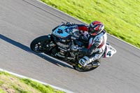 PJ-Motorsport-Photography-2018;anglesey-no-limits-trackday;anglesey-photographs;anglesey-trackday-photographs;enduro-digital-images;event-digital-images;eventdigitalimages;no-limits-trackdays;peter-wileman-photography;racing-digital-images;trac-mon;trackday-digital-images;trackday-photos;ty-croes