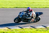 PJ-Motorsport-Photography-2018;anglesey-no-limits-trackday;anglesey-photographs;anglesey-trackday-photographs;enduro-digital-images;event-digital-images;eventdigitalimages;no-limits-trackdays;peter-wileman-photography;racing-digital-images;trac-mon;trackday-digital-images;trackday-photos;ty-croes