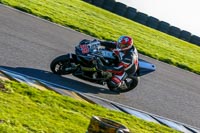 PJ-Motorsport-Photography-2018;anglesey-no-limits-trackday;anglesey-photographs;anglesey-trackday-photographs;enduro-digital-images;event-digital-images;eventdigitalimages;no-limits-trackdays;peter-wileman-photography;racing-digital-images;trac-mon;trackday-digital-images;trackday-photos;ty-croes