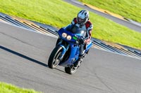 PJ-Motorsport-Photography-2018;anglesey-no-limits-trackday;anglesey-photographs;anglesey-trackday-photographs;enduro-digital-images;event-digital-images;eventdigitalimages;no-limits-trackdays;peter-wileman-photography;racing-digital-images;trac-mon;trackday-digital-images;trackday-photos;ty-croes