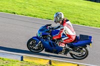 PJ-Motorsport-Photography-2018;anglesey-no-limits-trackday;anglesey-photographs;anglesey-trackday-photographs;enduro-digital-images;event-digital-images;eventdigitalimages;no-limits-trackdays;peter-wileman-photography;racing-digital-images;trac-mon;trackday-digital-images;trackday-photos;ty-croes