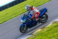 PJ-Motorsport-Photography-2018;anglesey-no-limits-trackday;anglesey-photographs;anglesey-trackday-photographs;enduro-digital-images;event-digital-images;eventdigitalimages;no-limits-trackdays;peter-wileman-photography;racing-digital-images;trac-mon;trackday-digital-images;trackday-photos;ty-croes