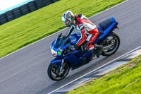 PJ-Motorsport-Photography-2018;anglesey-no-limits-trackday;anglesey-photographs;anglesey-trackday-photographs;enduro-digital-images;event-digital-images;eventdigitalimages;no-limits-trackdays;peter-wileman-photography;racing-digital-images;trac-mon;trackday-digital-images;trackday-photos;ty-croes