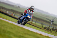 PJ-Motorsport-Photography-2018;anglesey-no-limits-trackday;anglesey-photographs;anglesey-trackday-photographs;enduro-digital-images;event-digital-images;eventdigitalimages;no-limits-trackdays;peter-wileman-photography;racing-digital-images;trac-mon;trackday-digital-images;trackday-photos;ty-croes