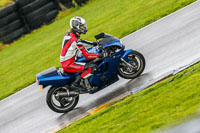 PJ-Motorsport-Photography-2018;anglesey-no-limits-trackday;anglesey-photographs;anglesey-trackday-photographs;enduro-digital-images;event-digital-images;eventdigitalimages;no-limits-trackdays;peter-wileman-photography;racing-digital-images;trac-mon;trackday-digital-images;trackday-photos;ty-croes