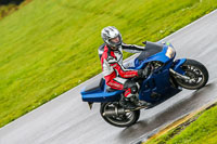 PJ-Motorsport-Photography-2018;anglesey-no-limits-trackday;anglesey-photographs;anglesey-trackday-photographs;enduro-digital-images;event-digital-images;eventdigitalimages;no-limits-trackdays;peter-wileman-photography;racing-digital-images;trac-mon;trackday-digital-images;trackday-photos;ty-croes