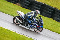 PJ-Motorsport-Photography-2018;anglesey-no-limits-trackday;anglesey-photographs;anglesey-trackday-photographs;enduro-digital-images;event-digital-images;eventdigitalimages;no-limits-trackdays;peter-wileman-photography;racing-digital-images;trac-mon;trackday-digital-images;trackday-photos;ty-croes