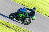 PJ-Motorsport-Photography-2018;anglesey-no-limits-trackday;anglesey-photographs;anglesey-trackday-photographs;enduro-digital-images;event-digital-images;eventdigitalimages;no-limits-trackdays;peter-wileman-photography;racing-digital-images;trac-mon;trackday-digital-images;trackday-photos;ty-croes