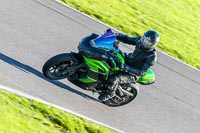 PJ-Motorsport-Photography-2018;anglesey-no-limits-trackday;anglesey-photographs;anglesey-trackday-photographs;enduro-digital-images;event-digital-images;eventdigitalimages;no-limits-trackdays;peter-wileman-photography;racing-digital-images;trac-mon;trackday-digital-images;trackday-photos;ty-croes