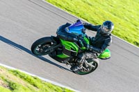 PJ-Motorsport-Photography-2018;anglesey-no-limits-trackday;anglesey-photographs;anglesey-trackday-photographs;enduro-digital-images;event-digital-images;eventdigitalimages;no-limits-trackdays;peter-wileman-photography;racing-digital-images;trac-mon;trackday-digital-images;trackday-photos;ty-croes