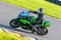 PJ-Motorsport-Photography-2018;anglesey-no-limits-trackday;anglesey-photographs;anglesey-trackday-photographs;enduro-digital-images;event-digital-images;eventdigitalimages;no-limits-trackdays;peter-wileman-photography;racing-digital-images;trac-mon;trackday-digital-images;trackday-photos;ty-croes