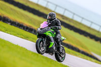 PJ-Motorsport-Photography-2018;anglesey-no-limits-trackday;anglesey-photographs;anglesey-trackday-photographs;enduro-digital-images;event-digital-images;eventdigitalimages;no-limits-trackdays;peter-wileman-photography;racing-digital-images;trac-mon;trackday-digital-images;trackday-photos;ty-croes