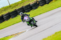 PJ-Motorsport-Photography-2018;anglesey-no-limits-trackday;anglesey-photographs;anglesey-trackday-photographs;enduro-digital-images;event-digital-images;eventdigitalimages;no-limits-trackdays;peter-wileman-photography;racing-digital-images;trac-mon;trackday-digital-images;trackday-photos;ty-croes