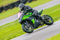 PJ-Motorsport-Photography-2018;anglesey-no-limits-trackday;anglesey-photographs;anglesey-trackday-photographs;enduro-digital-images;event-digital-images;eventdigitalimages;no-limits-trackdays;peter-wileman-photography;racing-digital-images;trac-mon;trackday-digital-images;trackday-photos;ty-croes