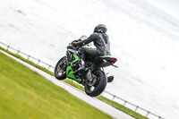 PJ-Motorsport-Photography-2018;anglesey-no-limits-trackday;anglesey-photographs;anglesey-trackday-photographs;enduro-digital-images;event-digital-images;eventdigitalimages;no-limits-trackdays;peter-wileman-photography;racing-digital-images;trac-mon;trackday-digital-images;trackday-photos;ty-croes