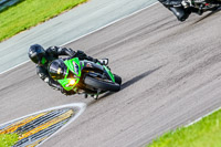 PJ-Motorsport-Photography-2018;anglesey-no-limits-trackday;anglesey-photographs;anglesey-trackday-photographs;enduro-digital-images;event-digital-images;eventdigitalimages;no-limits-trackdays;peter-wileman-photography;racing-digital-images;trac-mon;trackday-digital-images;trackday-photos;ty-croes