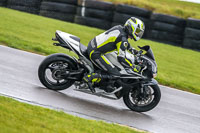 PJ-Motorsport-Photography-2018;anglesey-no-limits-trackday;anglesey-photographs;anglesey-trackday-photographs;enduro-digital-images;event-digital-images;eventdigitalimages;no-limits-trackdays;peter-wileman-photography;racing-digital-images;trac-mon;trackday-digital-images;trackday-photos;ty-croes