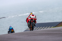 PJ-Motorsport-Photography-2018;anglesey-no-limits-trackday;anglesey-photographs;anglesey-trackday-photographs;enduro-digital-images;event-digital-images;eventdigitalimages;no-limits-trackdays;peter-wileman-photography;racing-digital-images;trac-mon;trackday-digital-images;trackday-photos;ty-croes