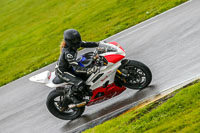 PJ-Motorsport-Photography-2018;anglesey-no-limits-trackday;anglesey-photographs;anglesey-trackday-photographs;enduro-digital-images;event-digital-images;eventdigitalimages;no-limits-trackdays;peter-wileman-photography;racing-digital-images;trac-mon;trackday-digital-images;trackday-photos;ty-croes