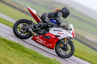 PJ-Motorsport-Photography-2018;anglesey-no-limits-trackday;anglesey-photographs;anglesey-trackday-photographs;enduro-digital-images;event-digital-images;eventdigitalimages;no-limits-trackdays;peter-wileman-photography;racing-digital-images;trac-mon;trackday-digital-images;trackday-photos;ty-croes