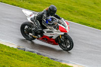 PJ-Motorsport-Photography-2018;anglesey-no-limits-trackday;anglesey-photographs;anglesey-trackday-photographs;enduro-digital-images;event-digital-images;eventdigitalimages;no-limits-trackdays;peter-wileman-photography;racing-digital-images;trac-mon;trackday-digital-images;trackday-photos;ty-croes