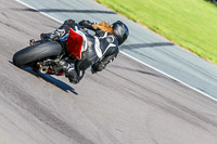 PJ-Motorsport-Photography-2018;anglesey-no-limits-trackday;anglesey-photographs;anglesey-trackday-photographs;enduro-digital-images;event-digital-images;eventdigitalimages;no-limits-trackdays;peter-wileman-photography;racing-digital-images;trac-mon;trackday-digital-images;trackday-photos;ty-croes