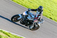 PJ-Motorsport-Photography-2018;anglesey-no-limits-trackday;anglesey-photographs;anglesey-trackday-photographs;enduro-digital-images;event-digital-images;eventdigitalimages;no-limits-trackdays;peter-wileman-photography;racing-digital-images;trac-mon;trackday-digital-images;trackday-photos;ty-croes