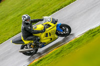 PJ-Motorsport-Photography-2018;anglesey-no-limits-trackday;anglesey-photographs;anglesey-trackday-photographs;enduro-digital-images;event-digital-images;eventdigitalimages;no-limits-trackdays;peter-wileman-photography;racing-digital-images;trac-mon;trackday-digital-images;trackday-photos;ty-croes