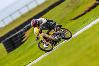 PJ-Motorsport-Photography-2018;anglesey-no-limits-trackday;anglesey-photographs;anglesey-trackday-photographs;enduro-digital-images;event-digital-images;eventdigitalimages;no-limits-trackdays;peter-wileman-photography;racing-digital-images;trac-mon;trackday-digital-images;trackday-photos;ty-croes