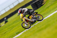 PJ-Motorsport-Photography-2018;anglesey-no-limits-trackday;anglesey-photographs;anglesey-trackday-photographs;enduro-digital-images;event-digital-images;eventdigitalimages;no-limits-trackdays;peter-wileman-photography;racing-digital-images;trac-mon;trackday-digital-images;trackday-photos;ty-croes