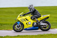 PJ-Motorsport-Photography-2018;anglesey-no-limits-trackday;anglesey-photographs;anglesey-trackday-photographs;enduro-digital-images;event-digital-images;eventdigitalimages;no-limits-trackdays;peter-wileman-photography;racing-digital-images;trac-mon;trackday-digital-images;trackday-photos;ty-croes