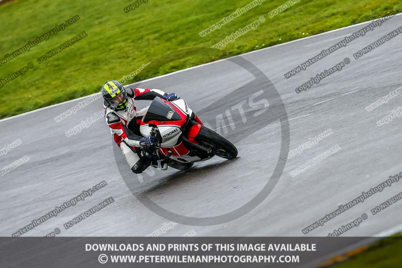 PJ Motorsport;anglesey no limits trackday;anglesey photographs;anglesey trackday photographs;enduro digital images;event digital images;eventdigitalimages;no limits trackdays;peter wileman photography;racing digital images;trac mon;trackday digital images;trackday photos;ty croes