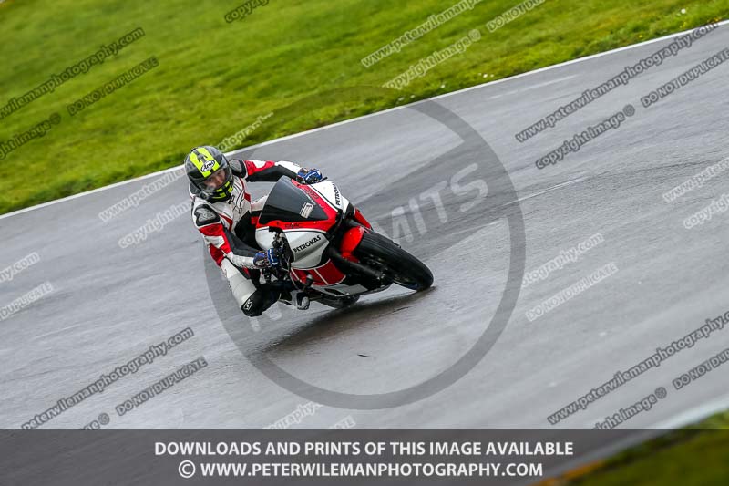 PJ Motorsport;anglesey no limits trackday;anglesey photographs;anglesey trackday photographs;enduro digital images;event digital images;eventdigitalimages;no limits trackdays;peter wileman photography;racing digital images;trac mon;trackday digital images;trackday photos;ty croes