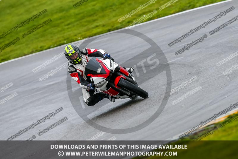 PJ Motorsport;anglesey no limits trackday;anglesey photographs;anglesey trackday photographs;enduro digital images;event digital images;eventdigitalimages;no limits trackdays;peter wileman photography;racing digital images;trac mon;trackday digital images;trackday photos;ty croes