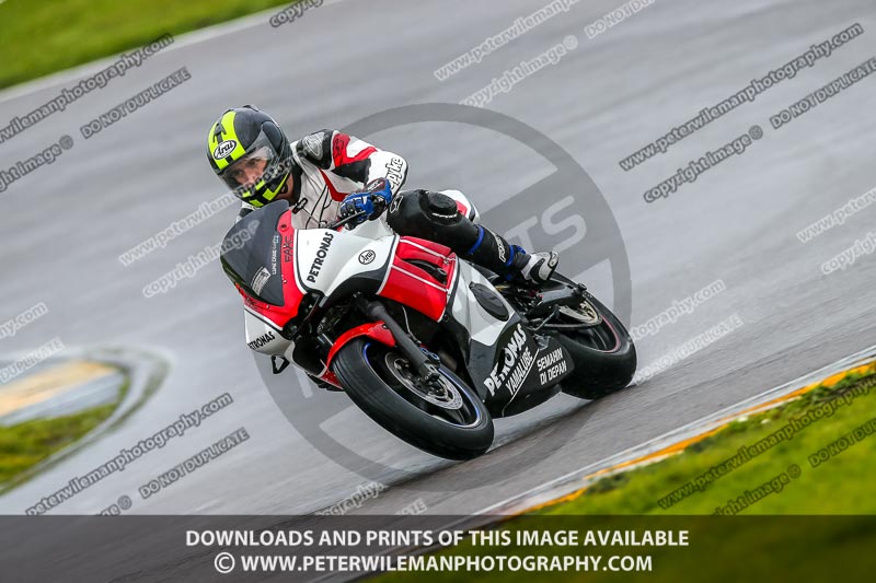 PJ Motorsport;anglesey no limits trackday;anglesey photographs;anglesey trackday photographs;enduro digital images;event digital images;eventdigitalimages;no limits trackdays;peter wileman photography;racing digital images;trac mon;trackday digital images;trackday photos;ty croes