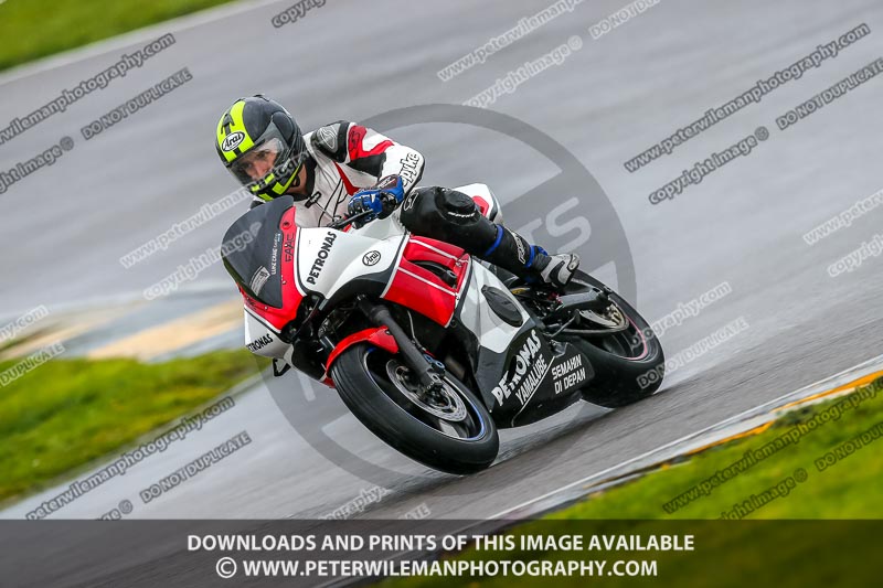 PJ Motorsport;anglesey no limits trackday;anglesey photographs;anglesey trackday photographs;enduro digital images;event digital images;eventdigitalimages;no limits trackdays;peter wileman photography;racing digital images;trac mon;trackday digital images;trackday photos;ty croes