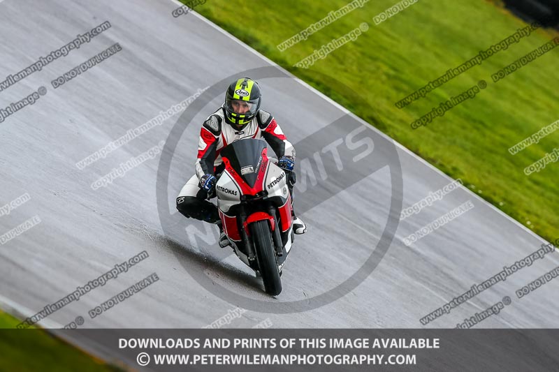 PJ Motorsport;anglesey no limits trackday;anglesey photographs;anglesey trackday photographs;enduro digital images;event digital images;eventdigitalimages;no limits trackdays;peter wileman photography;racing digital images;trac mon;trackday digital images;trackday photos;ty croes