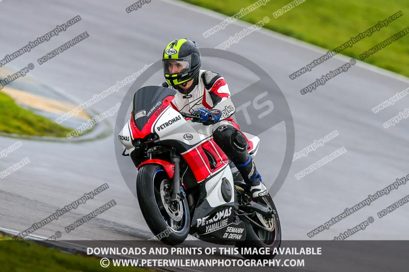 PJ Motorsport;anglesey no limits trackday;anglesey photographs;anglesey trackday photographs;enduro digital images;event digital images;eventdigitalimages;no limits trackdays;peter wileman photography;racing digital images;trac mon;trackday digital images;trackday photos;ty croes