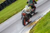 PJ-Motorsport;anglesey-no-limits-trackday;anglesey-photographs;anglesey-trackday-photographs;enduro-digital-images;event-digital-images;eventdigitalimages;no-limits-trackdays;peter-wileman-photography;racing-digital-images;trac-mon;trackday-digital-images;trackday-photos;ty-croes