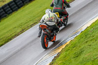 PJ-Motorsport;anglesey-no-limits-trackday;anglesey-photographs;anglesey-trackday-photographs;enduro-digital-images;event-digital-images;eventdigitalimages;no-limits-trackdays;peter-wileman-photography;racing-digital-images;trac-mon;trackday-digital-images;trackday-photos;ty-croes