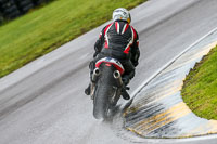 PJ-Motorsport;anglesey-no-limits-trackday;anglesey-photographs;anglesey-trackday-photographs;enduro-digital-images;event-digital-images;eventdigitalimages;no-limits-trackdays;peter-wileman-photography;racing-digital-images;trac-mon;trackday-digital-images;trackday-photos;ty-croes