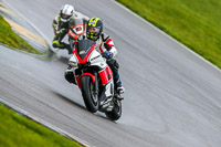 PJ-Motorsport;anglesey-no-limits-trackday;anglesey-photographs;anglesey-trackday-photographs;enduro-digital-images;event-digital-images;eventdigitalimages;no-limits-trackdays;peter-wileman-photography;racing-digital-images;trac-mon;trackday-digital-images;trackday-photos;ty-croes