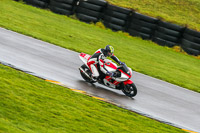 PJ-Motorsport;anglesey-no-limits-trackday;anglesey-photographs;anglesey-trackday-photographs;enduro-digital-images;event-digital-images;eventdigitalimages;no-limits-trackdays;peter-wileman-photography;racing-digital-images;trac-mon;trackday-digital-images;trackday-photos;ty-croes