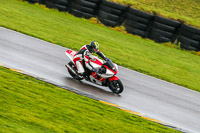 PJ-Motorsport;anglesey-no-limits-trackday;anglesey-photographs;anglesey-trackday-photographs;enduro-digital-images;event-digital-images;eventdigitalimages;no-limits-trackdays;peter-wileman-photography;racing-digital-images;trac-mon;trackday-digital-images;trackday-photos;ty-croes
