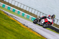 PJ-Motorsport;anglesey-no-limits-trackday;anglesey-photographs;anglesey-trackday-photographs;enduro-digital-images;event-digital-images;eventdigitalimages;no-limits-trackdays;peter-wileman-photography;racing-digital-images;trac-mon;trackday-digital-images;trackday-photos;ty-croes